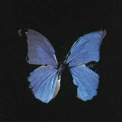 x.paxil