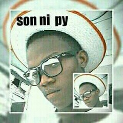 sonnipy