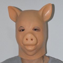 kaarnij