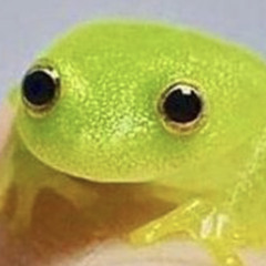 is very tired
