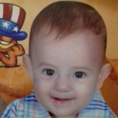 غصن الزيتون