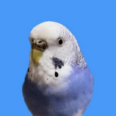 riku