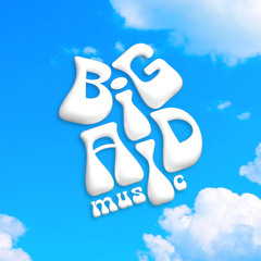 Big Aid