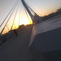 Canadian Open Collective