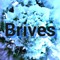 Dennis Brives