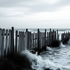 White Fences