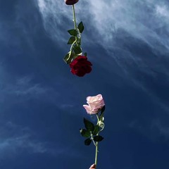 Nazia