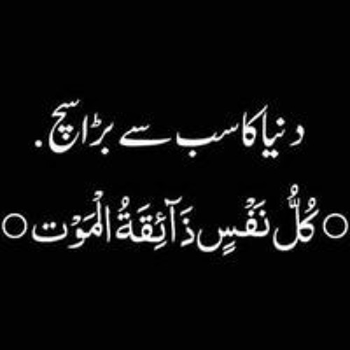 Stream Mubeen Rasool music | Listen to songs, albums, playlists for ...