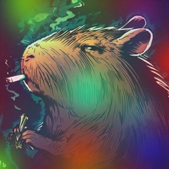 CapybaraBinks