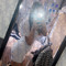 kels x