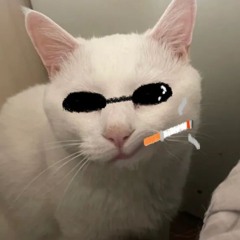 시 환