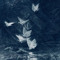ورّد