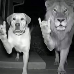 geometry dash ❤️