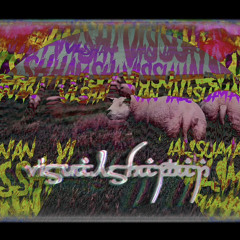 TheVisualShaman