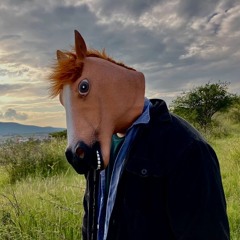 Lucky Horse