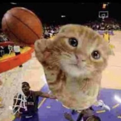 ballincat43