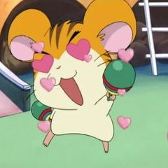 Hamtaro