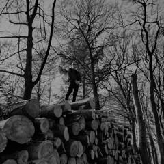 Bruno de Kopstootpiloot