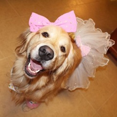 sugarsweetiara