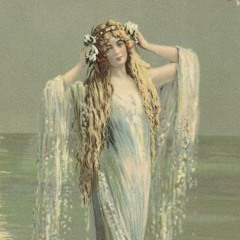 котовый суп