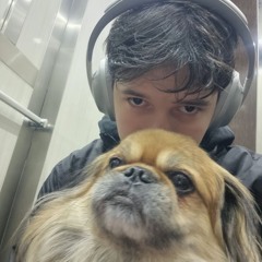 Yagiz 17