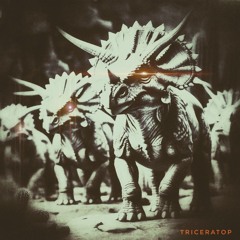 TRICERATOP