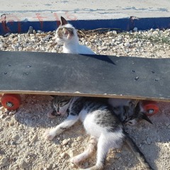 belki de gelir.piano.beste