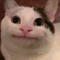 챌프