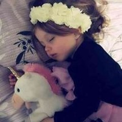 Alaa Fathy