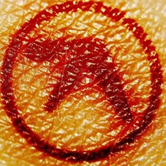 l6sds