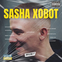 Sasha X0B0T