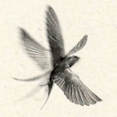 malq