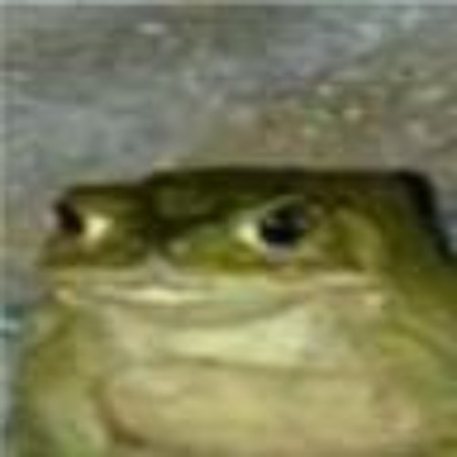 Tokyo's Revenge - GET OUT (Stuck Again) FULL SONG