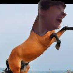 Liam O’Reilly