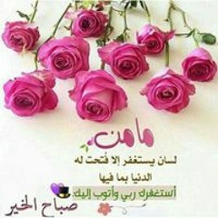 Heba Ahmed