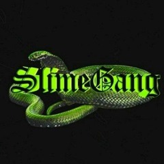 SLIMEZ GANG 🐍