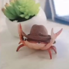 King_Yeetus
