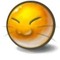 shiyou.flp