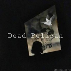Dead Pelican