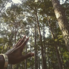 ill Phenom