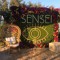 SENSEI FESTIVAL