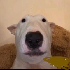 jj