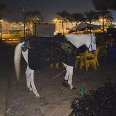 Mido Moo