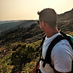 The Italian Stallion