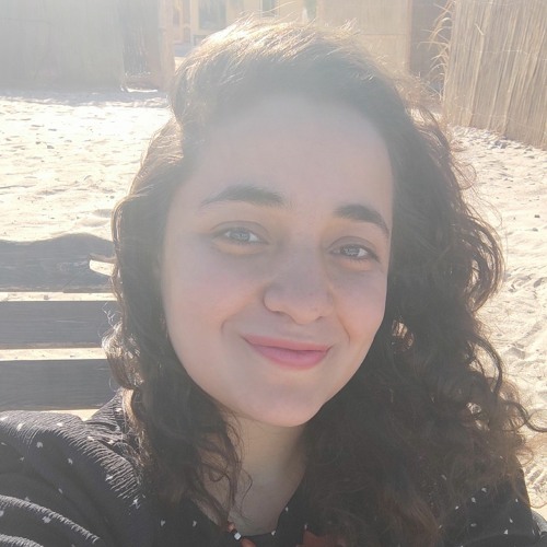 Dina Hassanin’s avatar