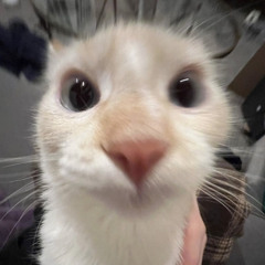 tommy <3