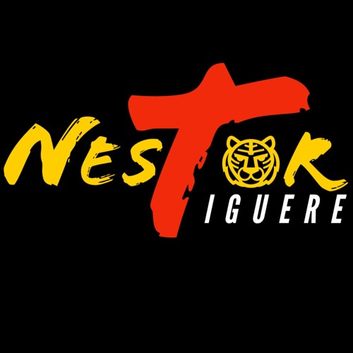 Nestor Tiguere’s avatar