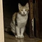 User 256161845
