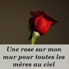 Fabrice Mamie