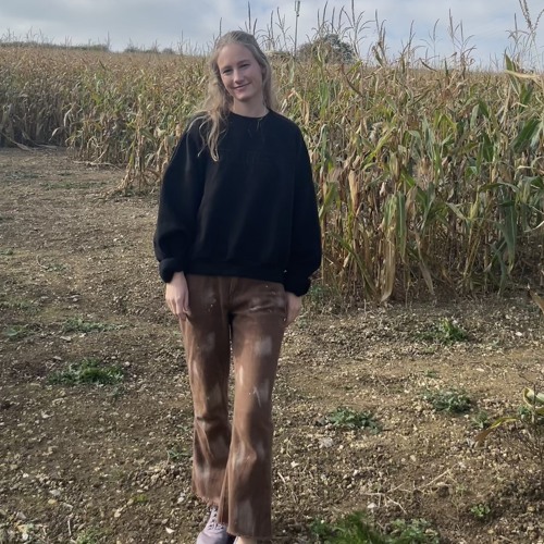 In my dreams (original song!!)